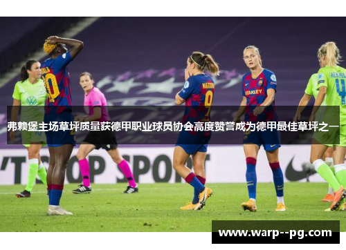 弗赖堡主场草坪质量获德甲职业球员协会高度赞誉成为德甲最佳草坪之一